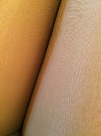 IMG_7533.jpg