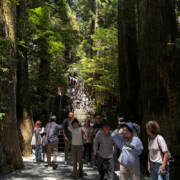 箱根神社