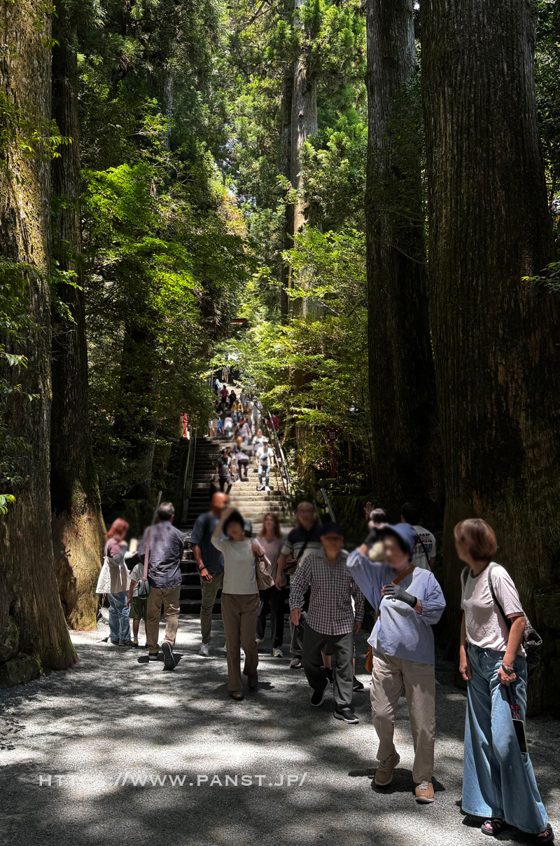 箱根神社